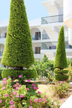 Hotel Sea Melody & 4*